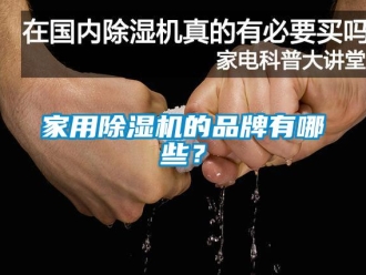 企业新闻家用除湿机的品牌有哪些？