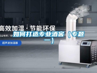 常见问题如何打造专业酒窖（专题一）