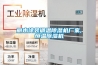 丽水涂装调温除湿机厂家,恒温除湿机