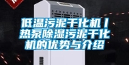 低温污泥干化机丨热泵除湿污泥干化机的优势与介绍