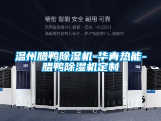 行业新闻温州腊鸭除湿机-华青热能-腊鸭除湿机定制