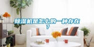 除湿机是怎么的一种存在？