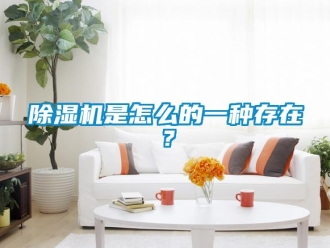 常见问题除湿机是怎么的一种存在？