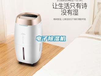 行业新闻电子除湿机