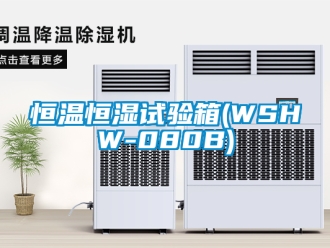知识百科恒温恒湿试验箱(WSHW-080B)
