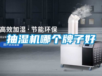 企业新闻抽湿机哪个牌子好