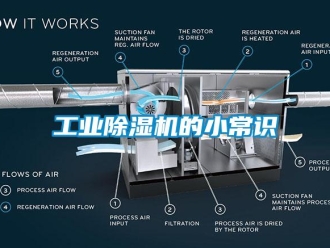企业新闻工业除湿机的小常识