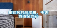 带新风的除湿机，干爽舒湿全靠它