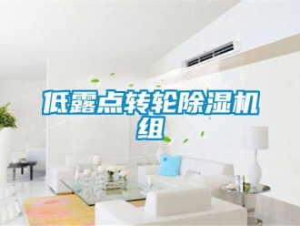 常见问题低露点转轮除湿机组