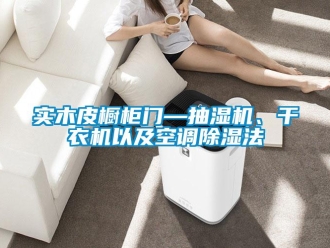 行业新闻实木皮橱柜门—抽湿机、干衣机以及空调除湿法