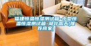 福建恒温恒湿测试箱-小型恒温恒湿测试箱-湖北高天(推荐商家)