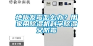 地板发霉怎么办？用家用除湿机科学除湿又防霉