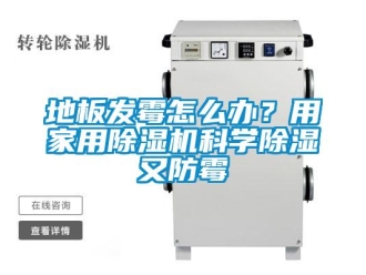 常见问题地板发霉怎么办？用家用除湿机科学除湿又防霉