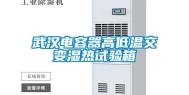 武汉电容器高低温交变湿热试验箱