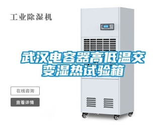 常见问题武汉电容器高低温交变湿热试验箱