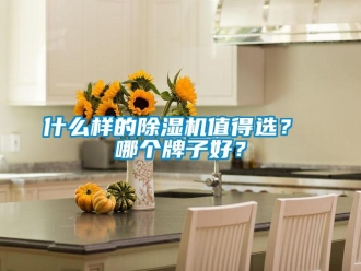 行业新闻什么样的除湿机值得选？ 哪个牌子好？