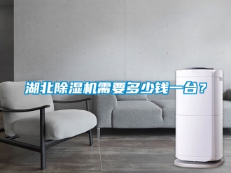 行业新闻湖北除湿机需要多少钱一台？