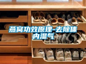 知识百科燕窝功效原理-去除体内湿气