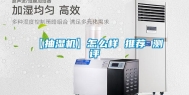 【抽湿机】怎么样 推荐 测评