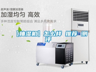 企业新闻【抽湿机】怎么样 推荐 测评