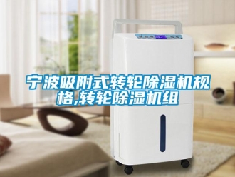 常见问题宁波吸附式转轮除湿机规格,转轮除湿机组