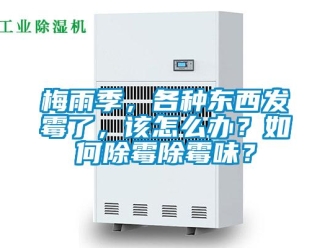 常见问题梅雨季，各种东西发霉了，该怎么办？如何除霉除霉味？