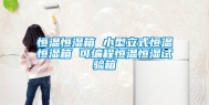 恒温恒湿箱 小型立式恒温恒湿箱 可编程恒温恒湿试验箱