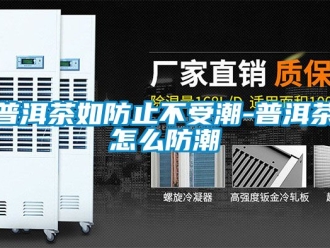 常见问题普洱茶如防止不受潮-普洱茶怎么防潮