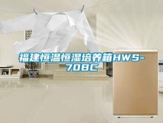 知识百科福建恒温恒湿培养箱HWS-70BC