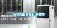 除湿机用压缩机1