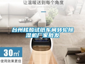 企业新闻台州核酸试纸车间转轮除湿机厂家批发
