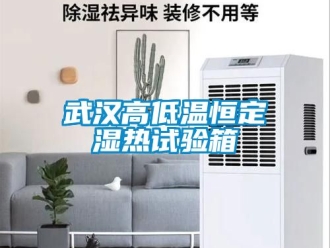 常见问题武汉高低温恒定湿热试验箱