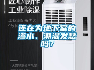 企业新闻还在为地下室的渗水、潮湿发愁吗？