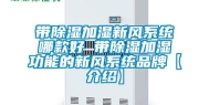 带除湿加湿新风系统哪款好 带除湿加湿功能的新风系统品牌【介绍】