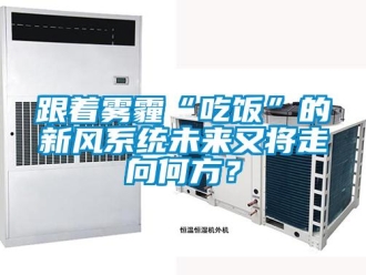 企业新闻跟着雾霾“吃饭”的新风系统未来又将走向何方？