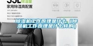除湿机工作原理是什么（除湿机工作原理是什么样的）