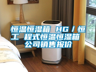 知识百科恒温恒湿箱 HG／恒工 程式恒温恒湿箱 公司销售报价