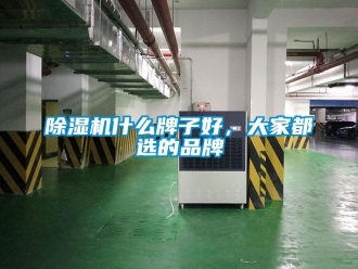 企业新闻除湿机什么牌子好，大家都选的品牌