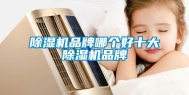 除湿机品牌哪个好十大除湿机品牌