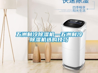 行业新闻五洲制冷除湿机—五洲制冷除湿机选购技巧