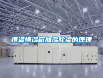 知识百科恒温恒湿箱加湿除湿的原理