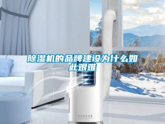 常见问题除湿机的品牌建设为什么如此艰难