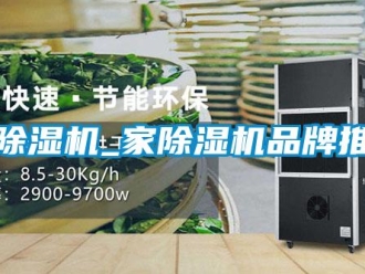 企业新闻家除湿机_家除湿机品牌推荐