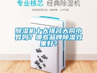 企业新闻除湿机十大排名大同小异吗？哪些品牌除湿效果好？