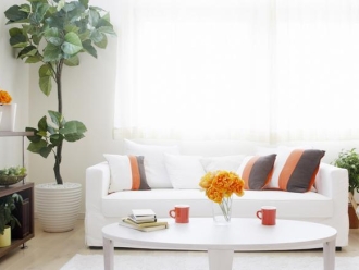 知识百科压缩除湿机的优点