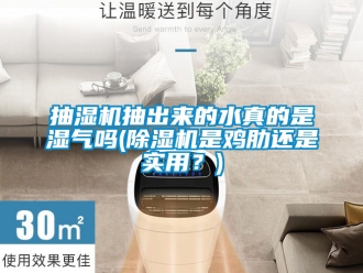 企业新闻抽湿机抽出来的水真的是湿气吗(除湿机是鸡肋还是实用？)