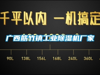 企业新闻广西筋竹镇工业除湿机厂家