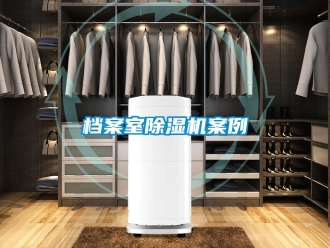 行业新闻档案室除湿机案例