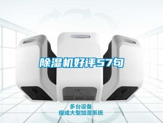 行业新闻除湿机好评57句