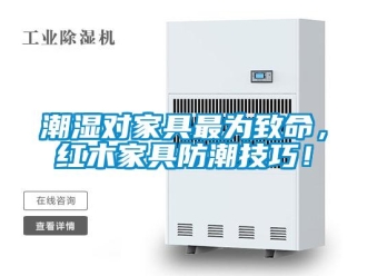 企业新闻潮湿对家具最为致命，红木家具防潮技巧！